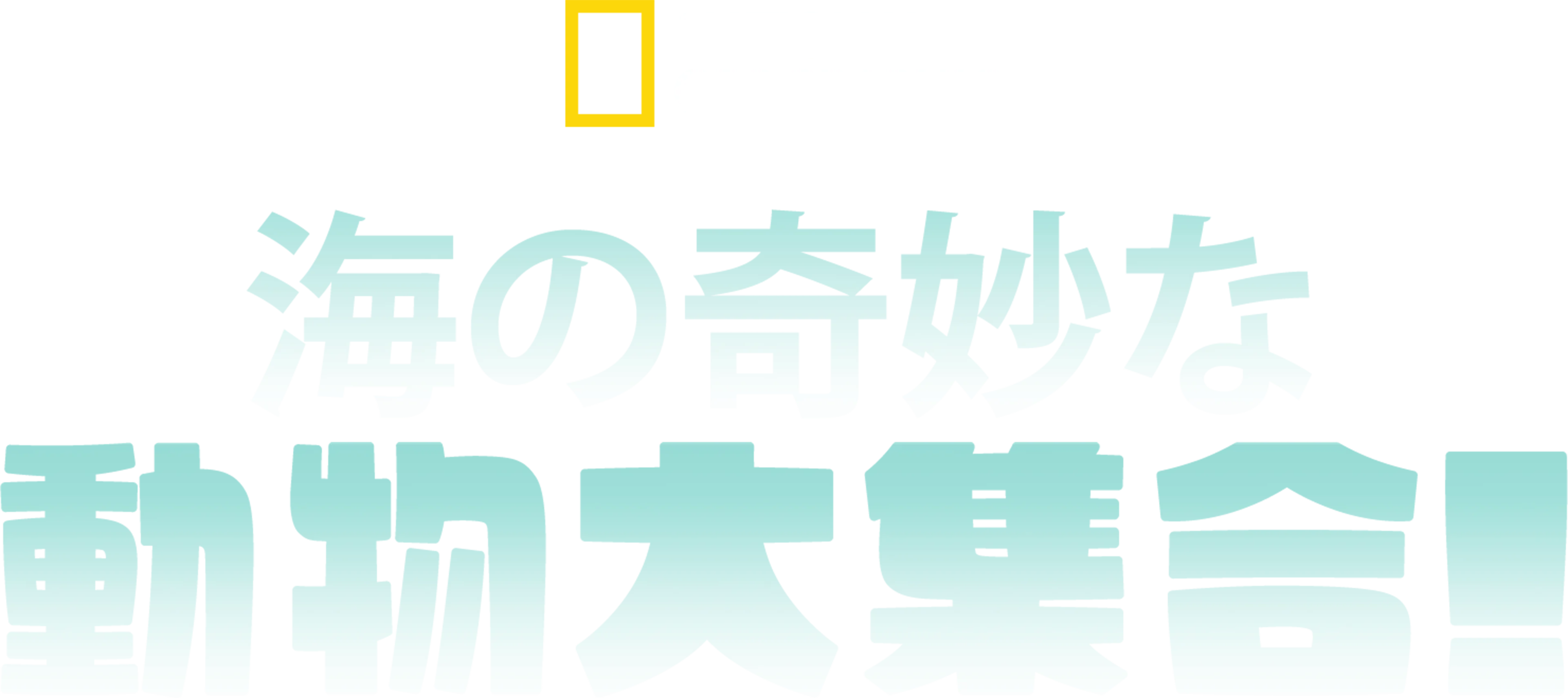 海の奇妙な動物大集合！