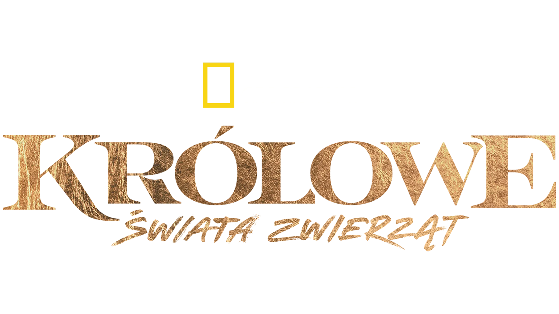 Królowe świata zwierząt