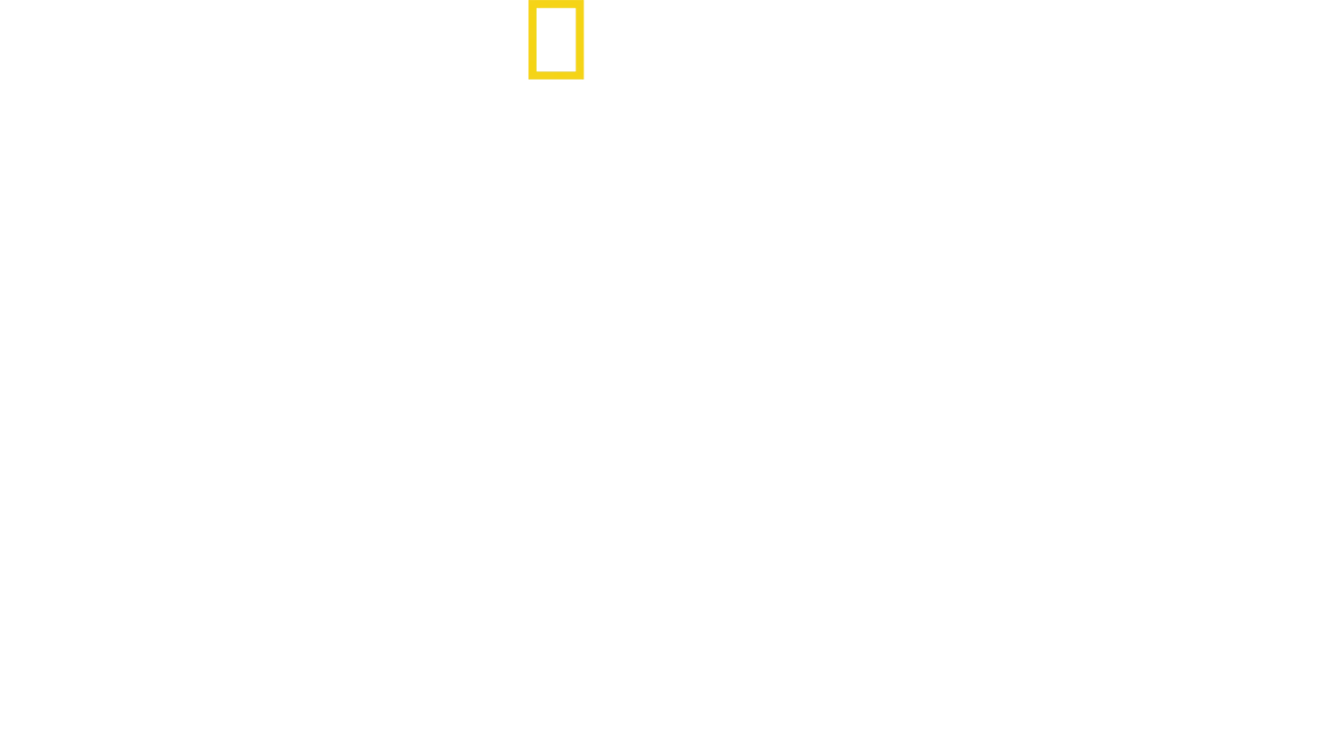 Toinen maailmansota: Pinnanalainen helvetti
