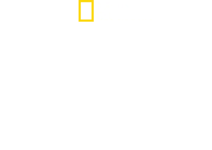 公牛鲨的入侵
