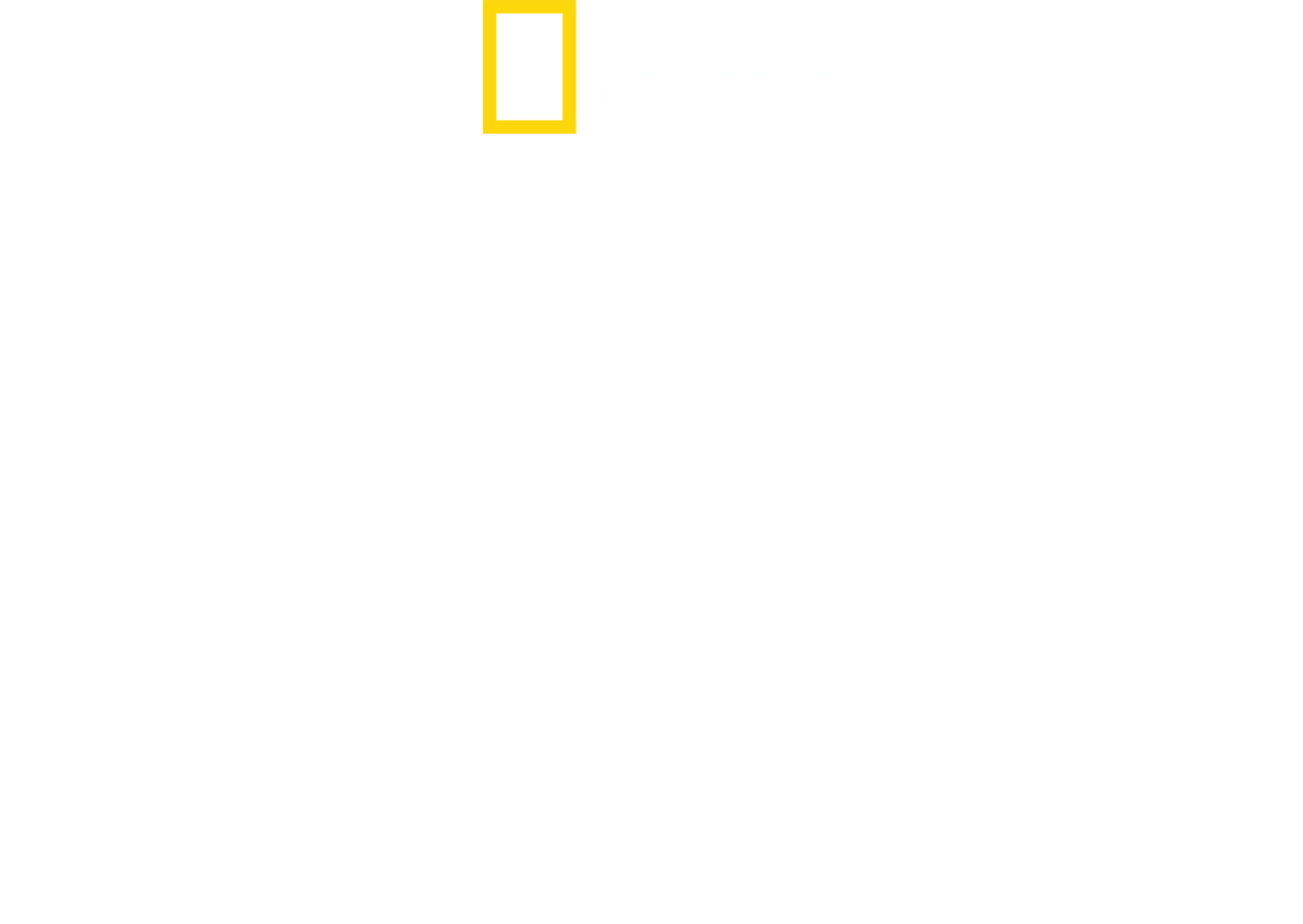 公牛鲨的入侵