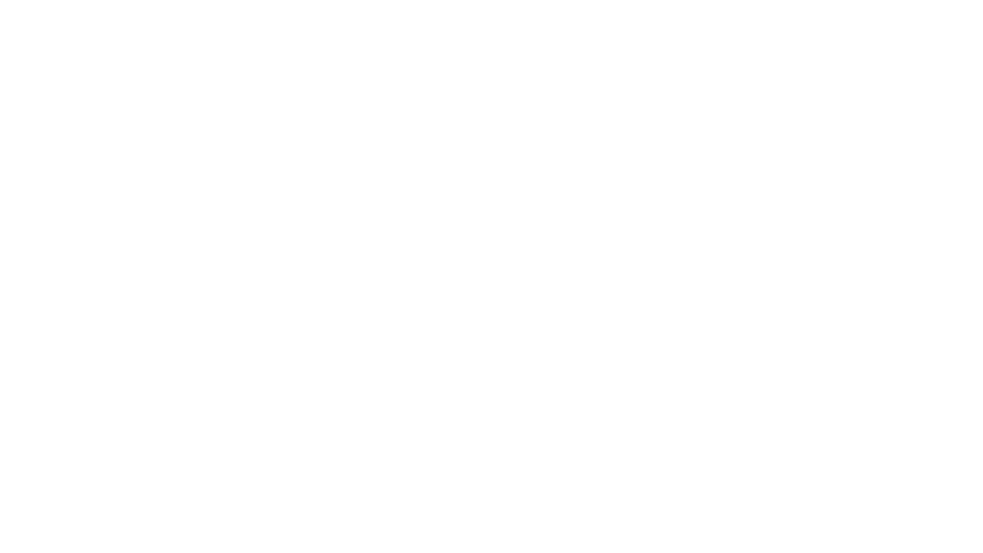 Il braccio violento della legge