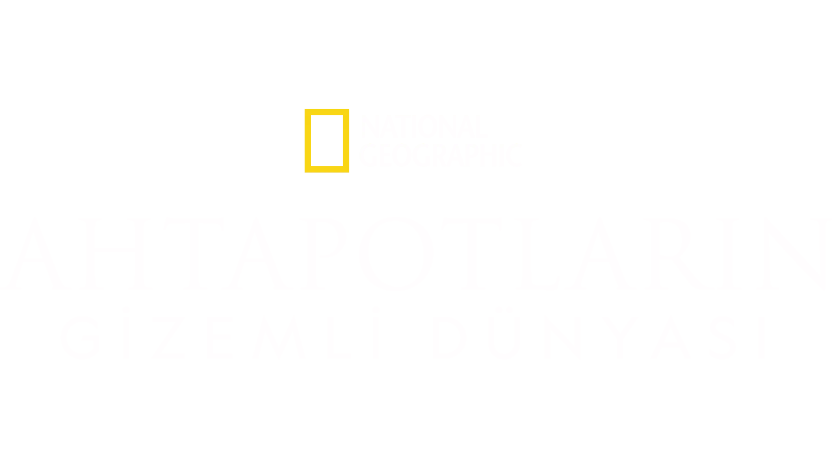 Ahtapotların Gizemli Dünyası