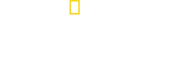 Ahtapotların Gizemli Dünyası