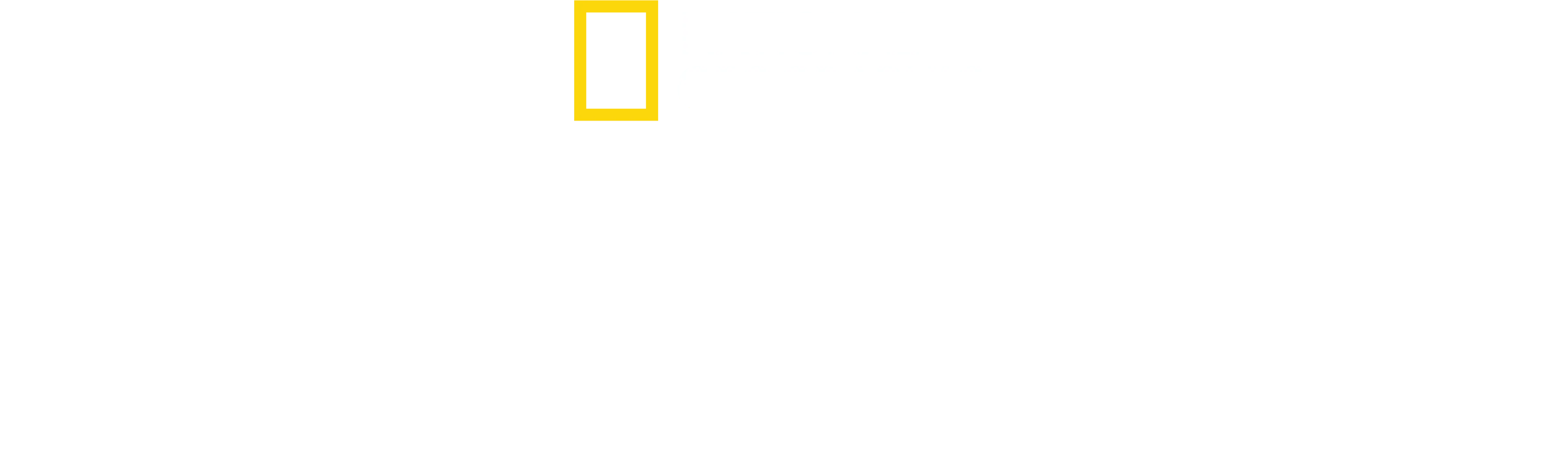 Ahtapotların Gizemli Dünyası
