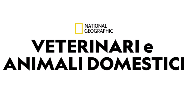 Veterinari e animali domestici