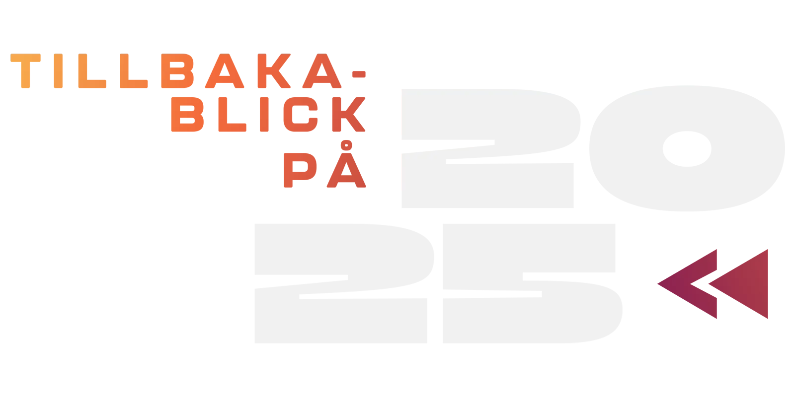 Tillbakablick på 2025