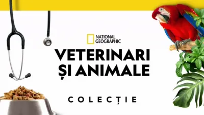 thumbnail - Veterinari și animale