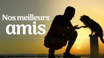 thumbnail - Nos meilleurs amis