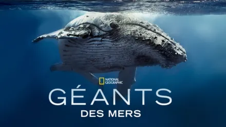 thumbnail - Géants des mers