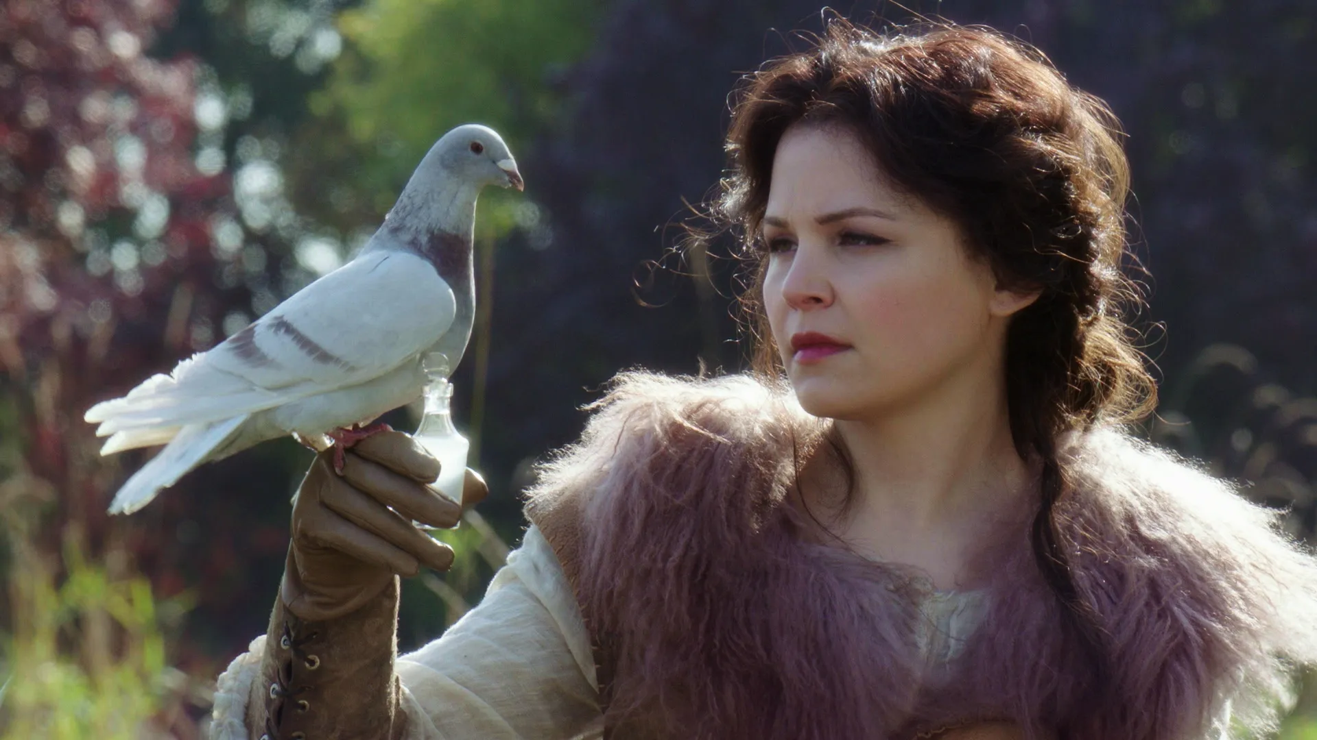 Snow White (Ginnifer Goodwin) pictured holding a homing pigeon in Once Upon a Time