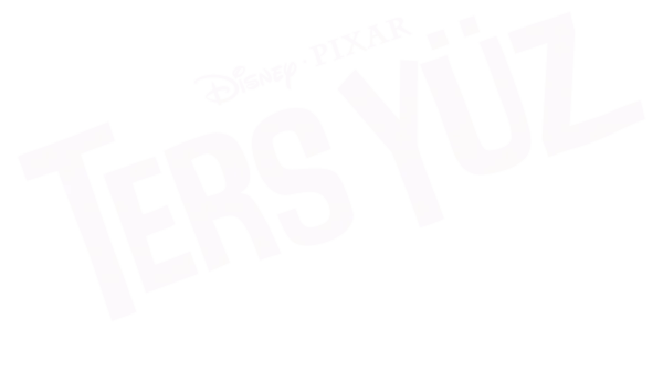 Ters Yüz