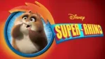 thumbnail - Super-Rhino