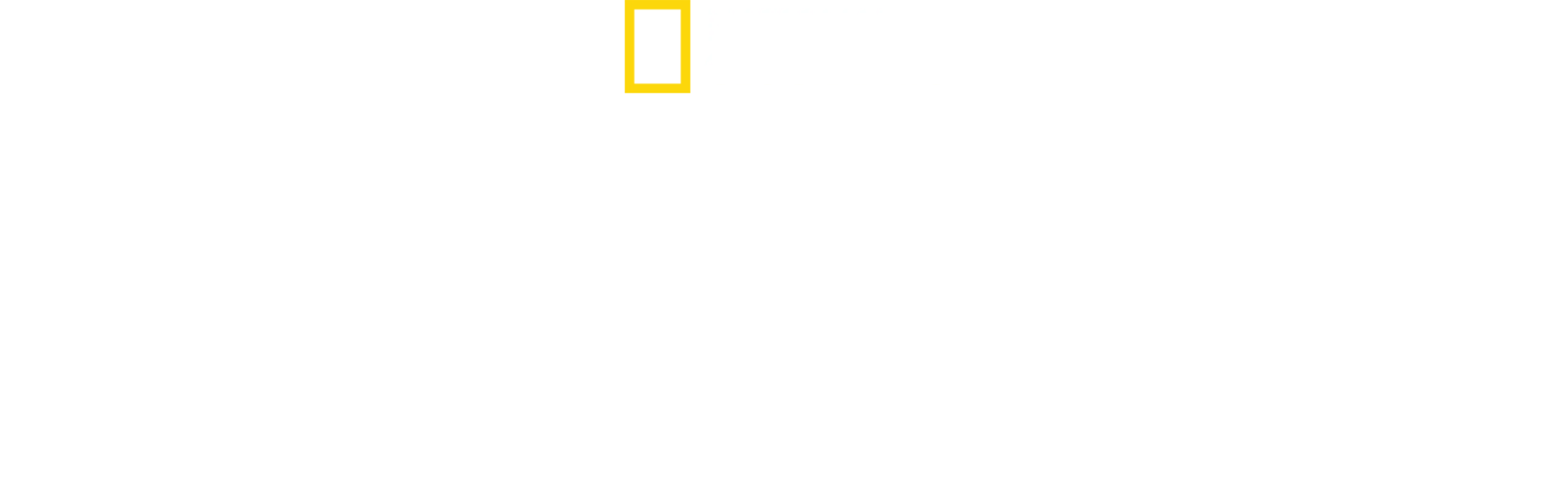 アフリカ～驚くべき種の進化～