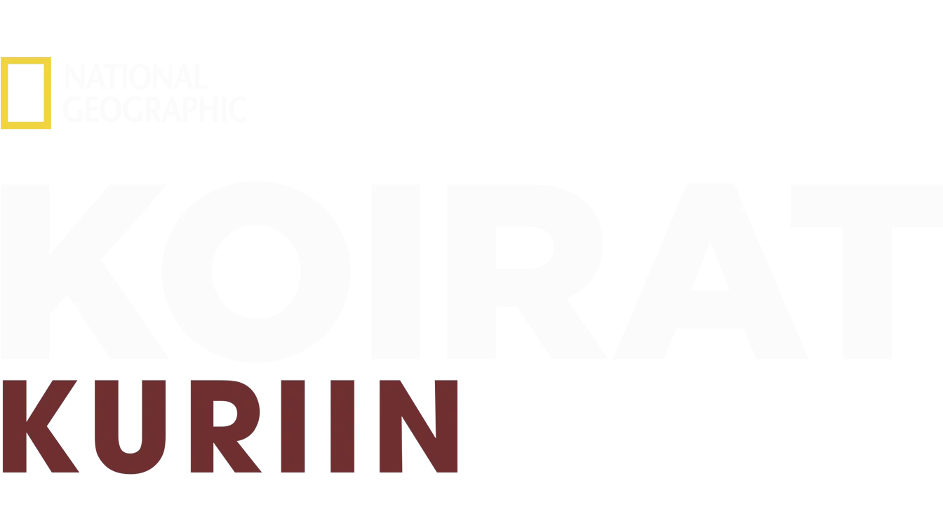 Koirat kuriin