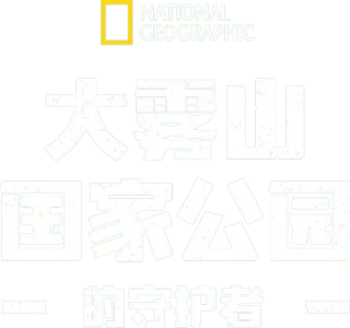 大雾山国家公园的守护者
