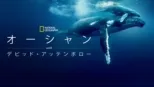 thumbnail - オーシャン with デビッド・アッテンボロー