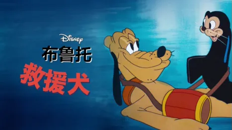 thumbnail - 救援犬
