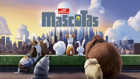 thumbnail - Mascotas
