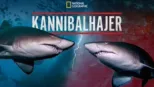 thumbnail - Kannibalhajer