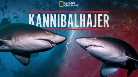 thumbnail - Cannibal Sharks