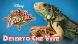 thumbnail - Deserto Che Vive
