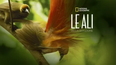 Le ali della seduzione