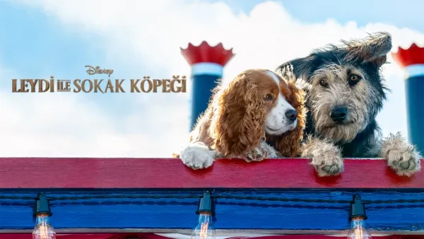 thumbnail - Leydi ile Sokak Köpeği
