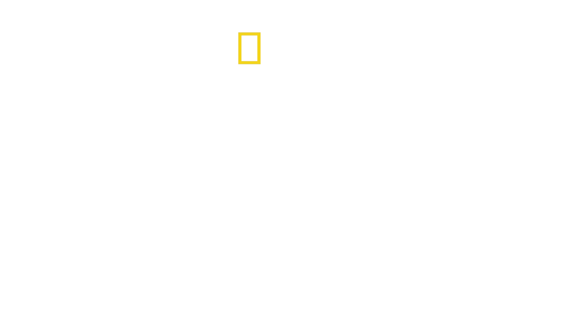Traficantes