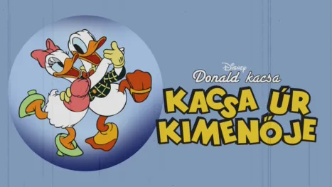 thumbnail - Kacsa úr kimenője