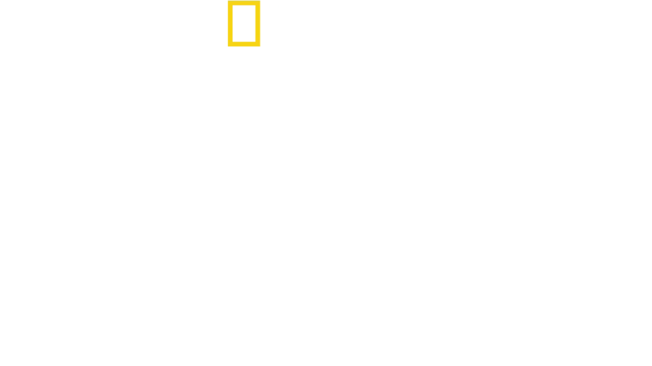 Au cœur du zoo