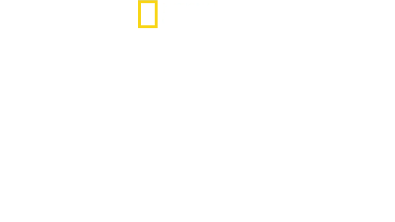 Au cœur du zoo