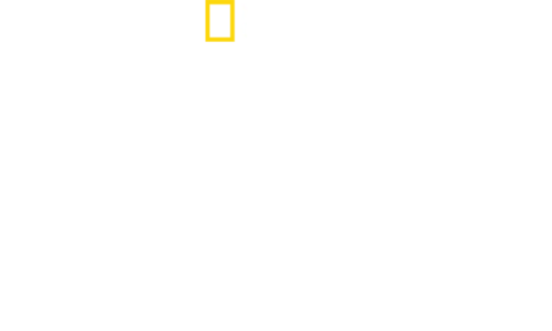 Au cœur du zoo