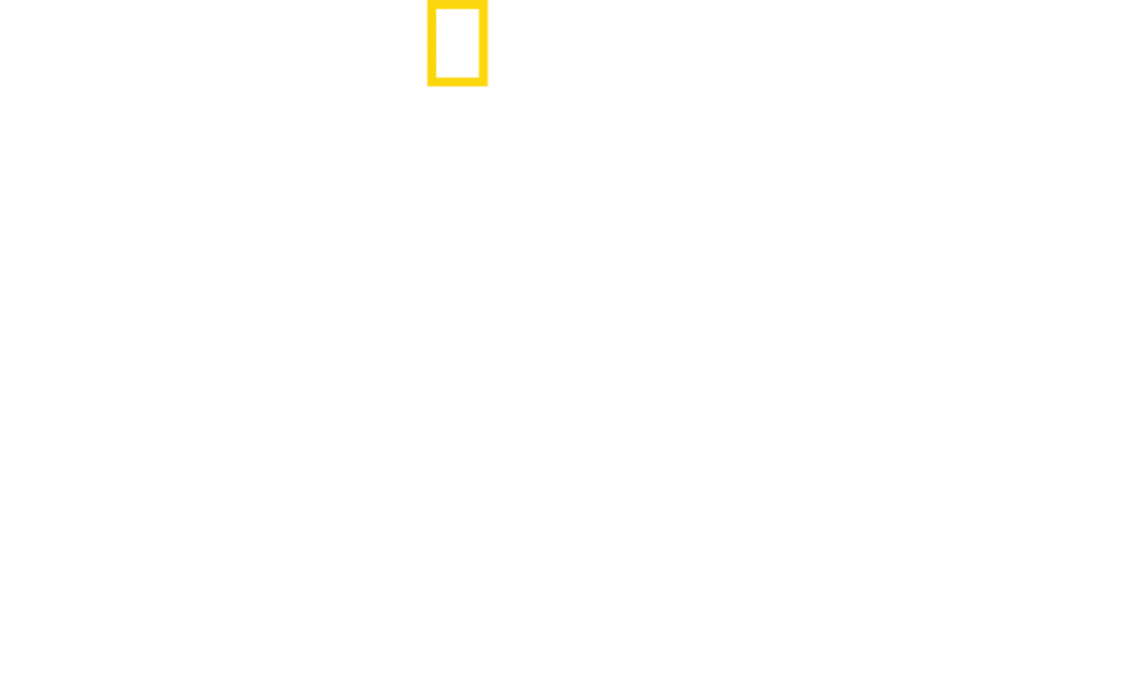 Au cœur du zoo