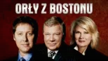 thumbnail - Orły z Bostonu