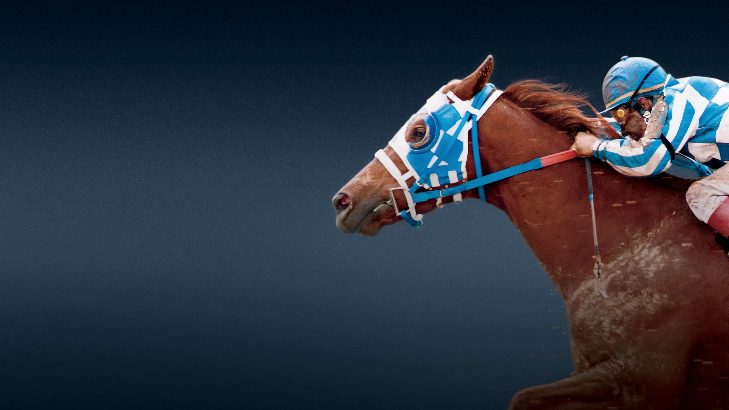 Secretariat