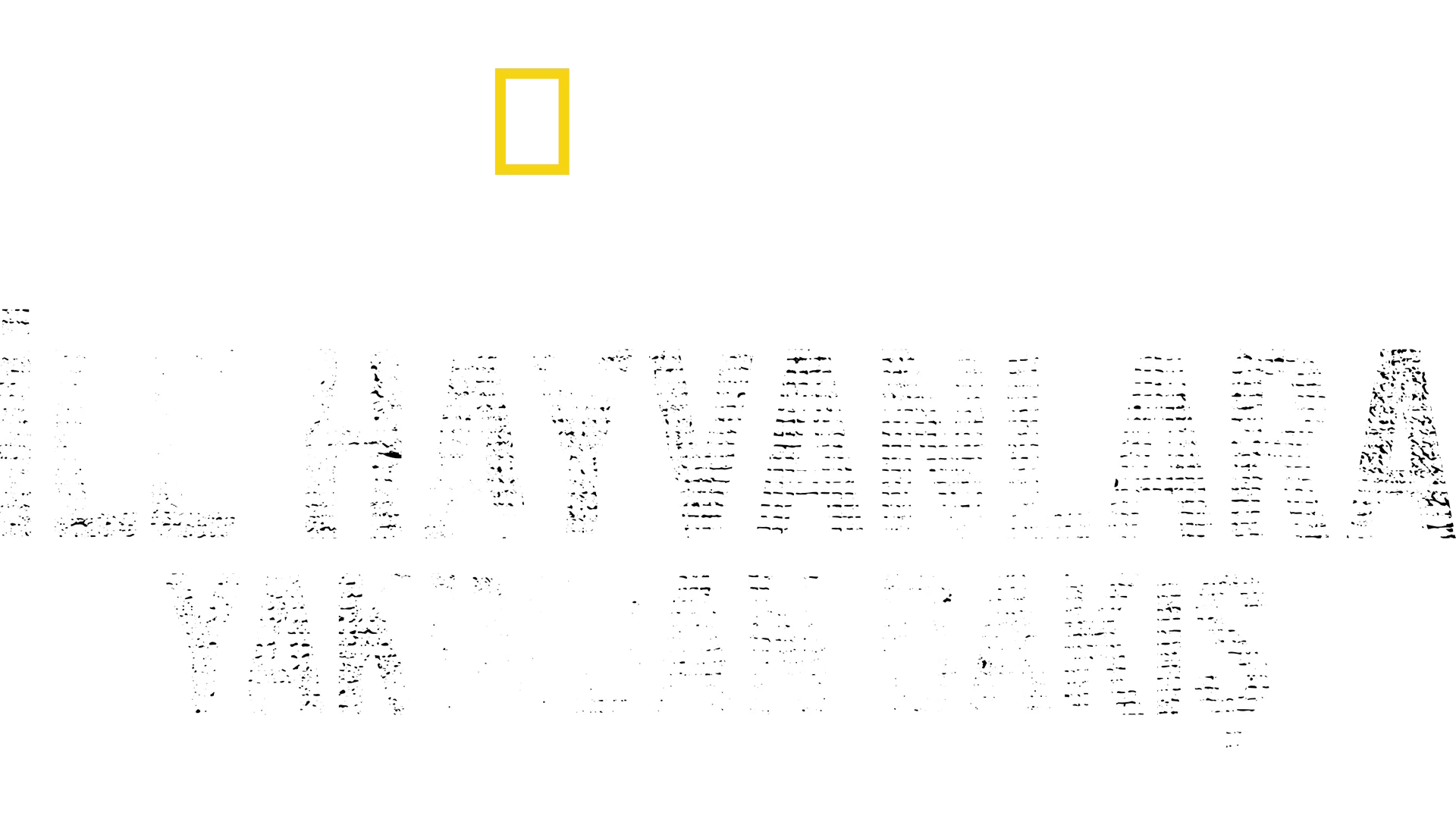 Bertie Gregory ile Hayvanlara Yakından Bakış