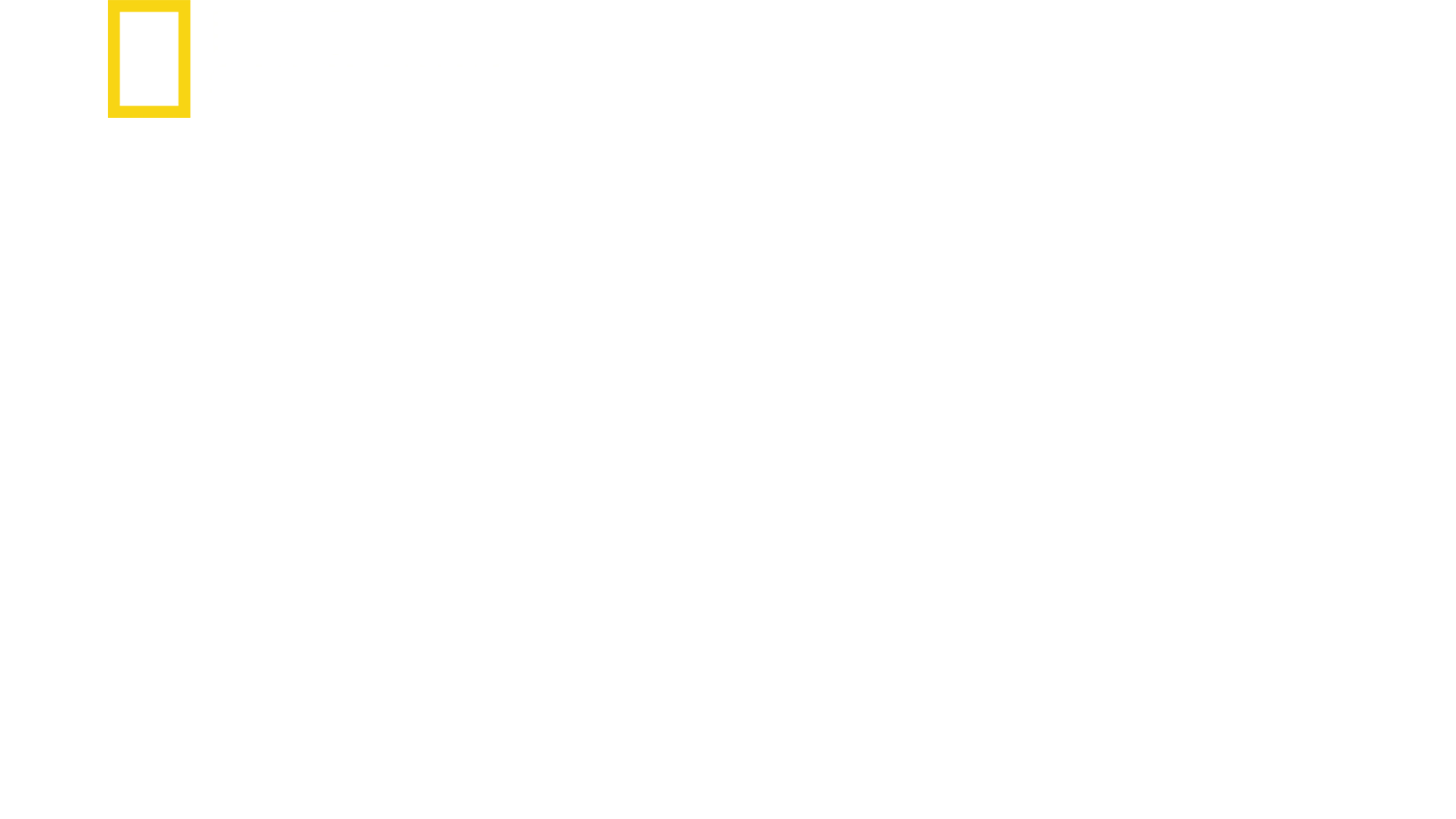 美国的绿色行动