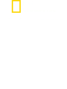 美国的绿色行动