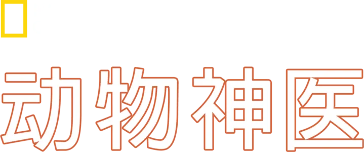 动物神医