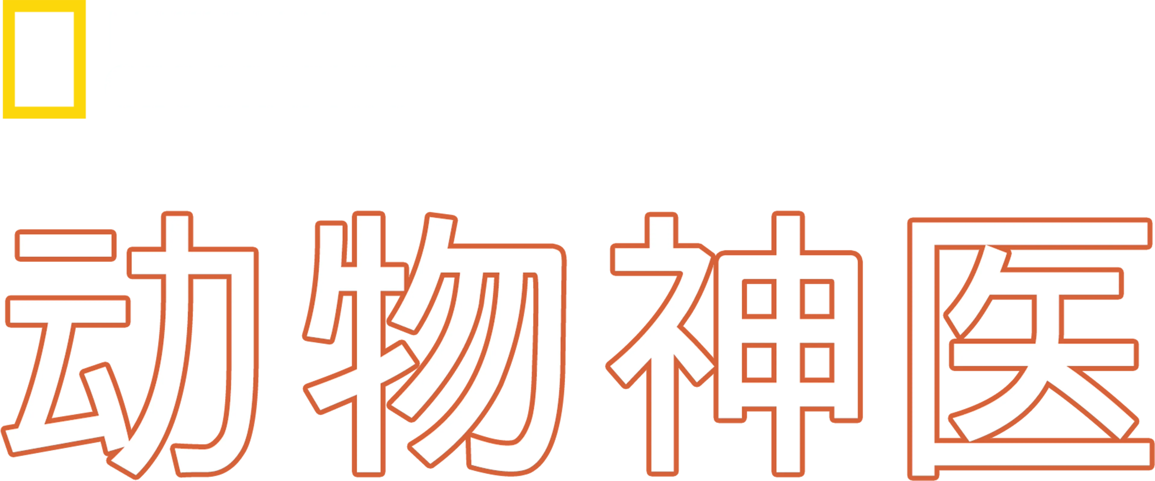 动物神医