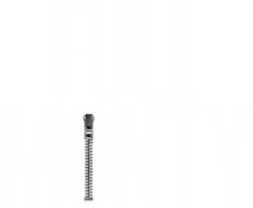 Full Monty