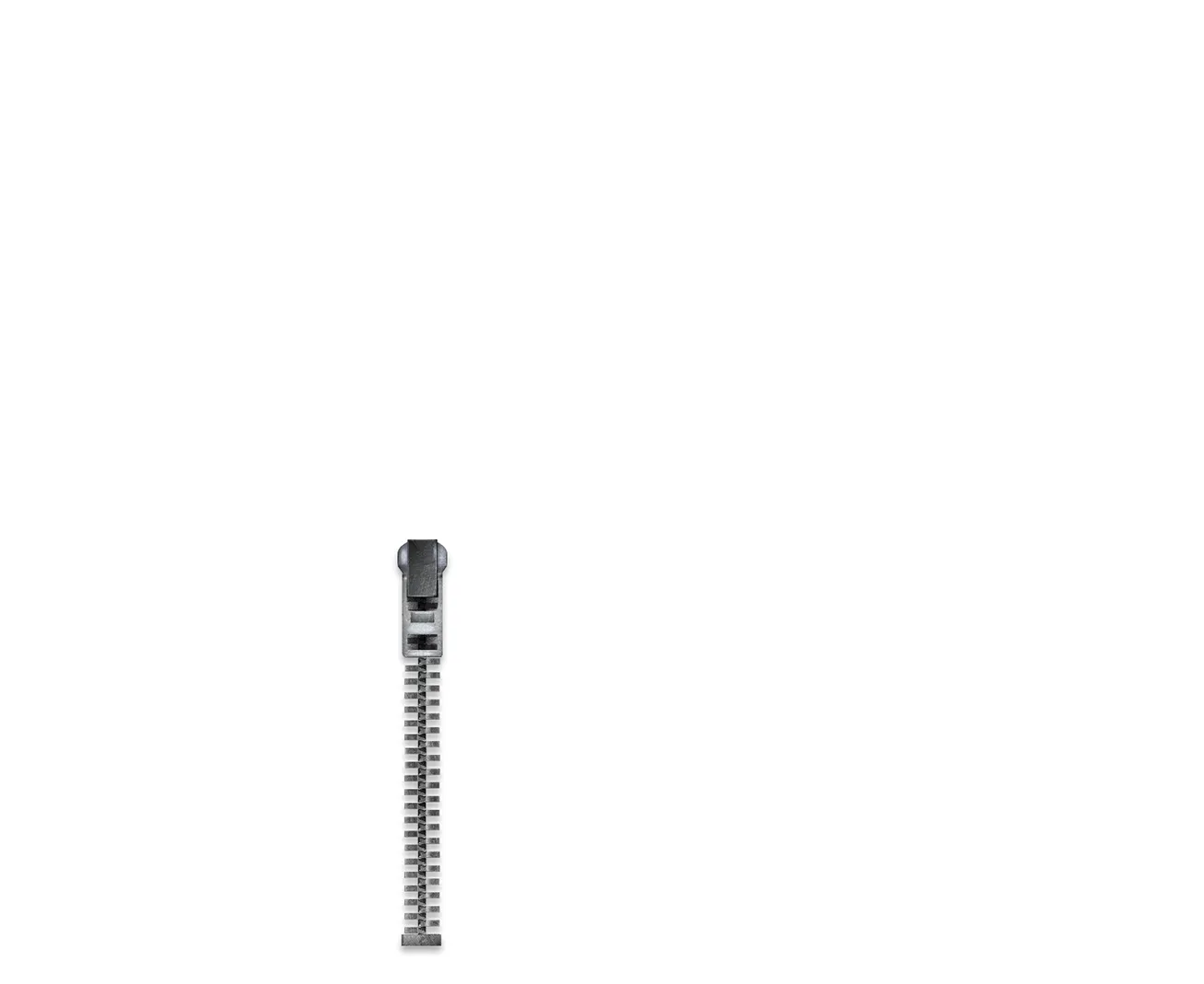 Full Monty