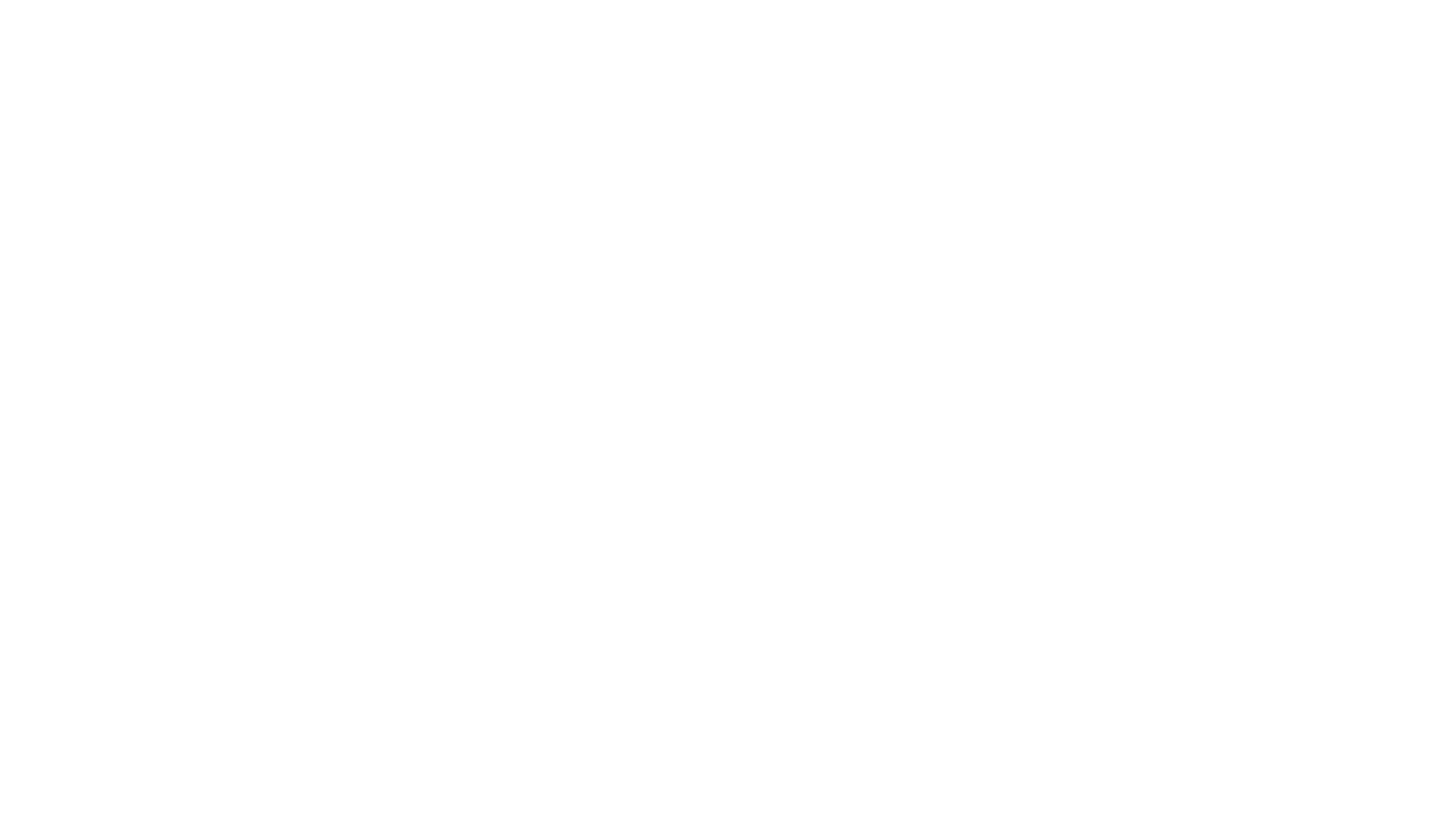 Il Boss del condominio