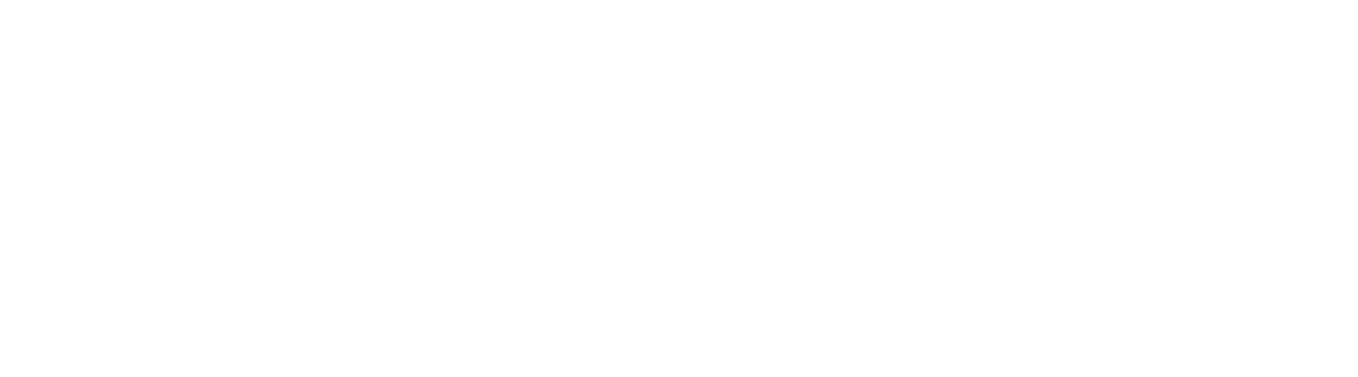 Il Boss del condominio