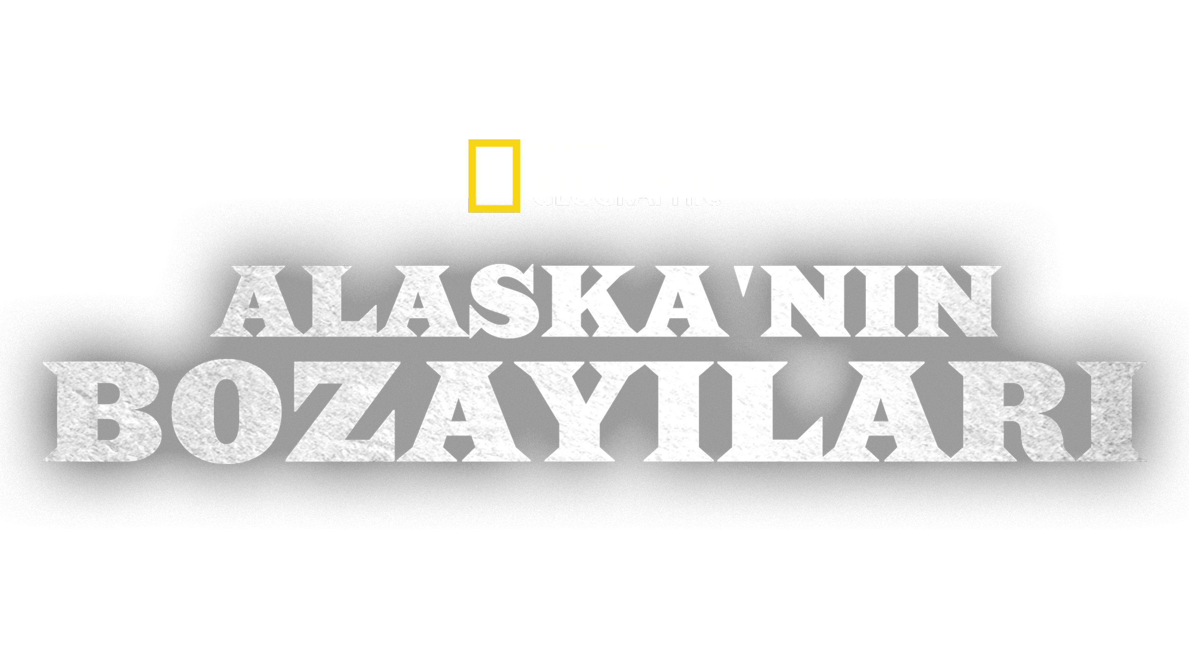 Alaska'nın Bozayıları