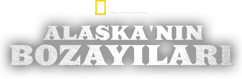 Alaska'nın Bozayıları