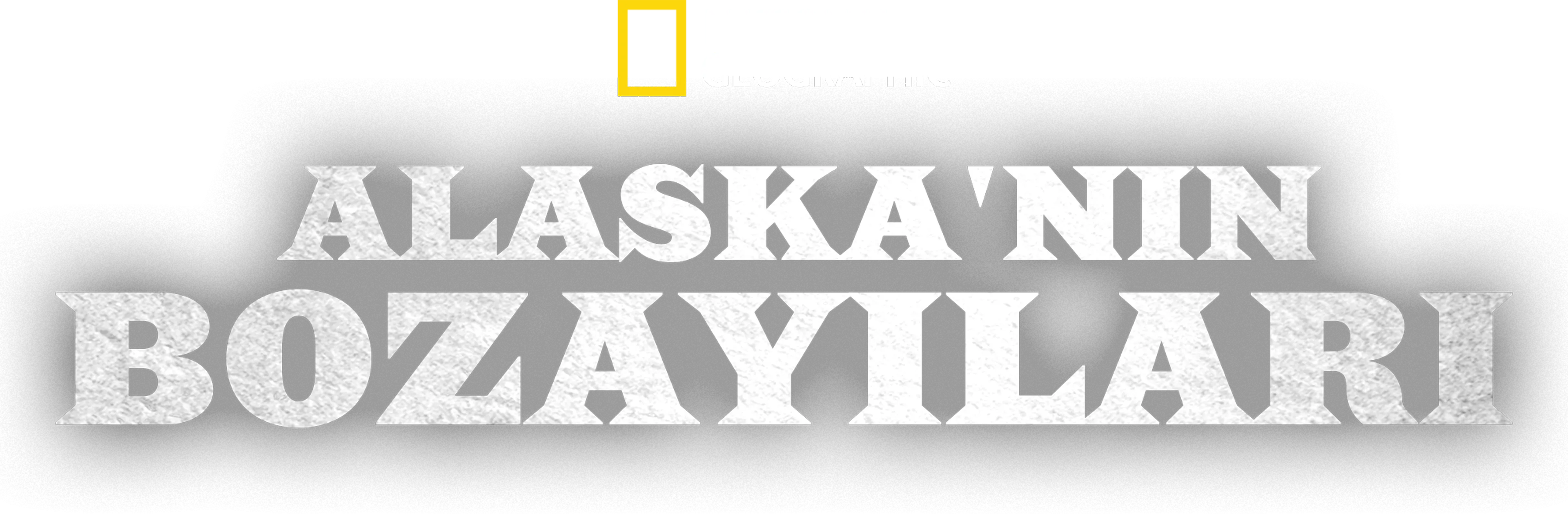 Alaska'nın Bozayıları