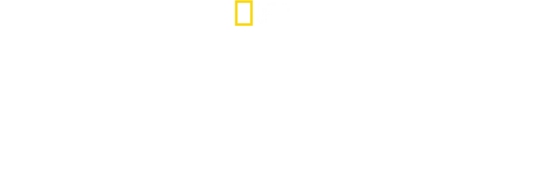 Katastrofin todistajat