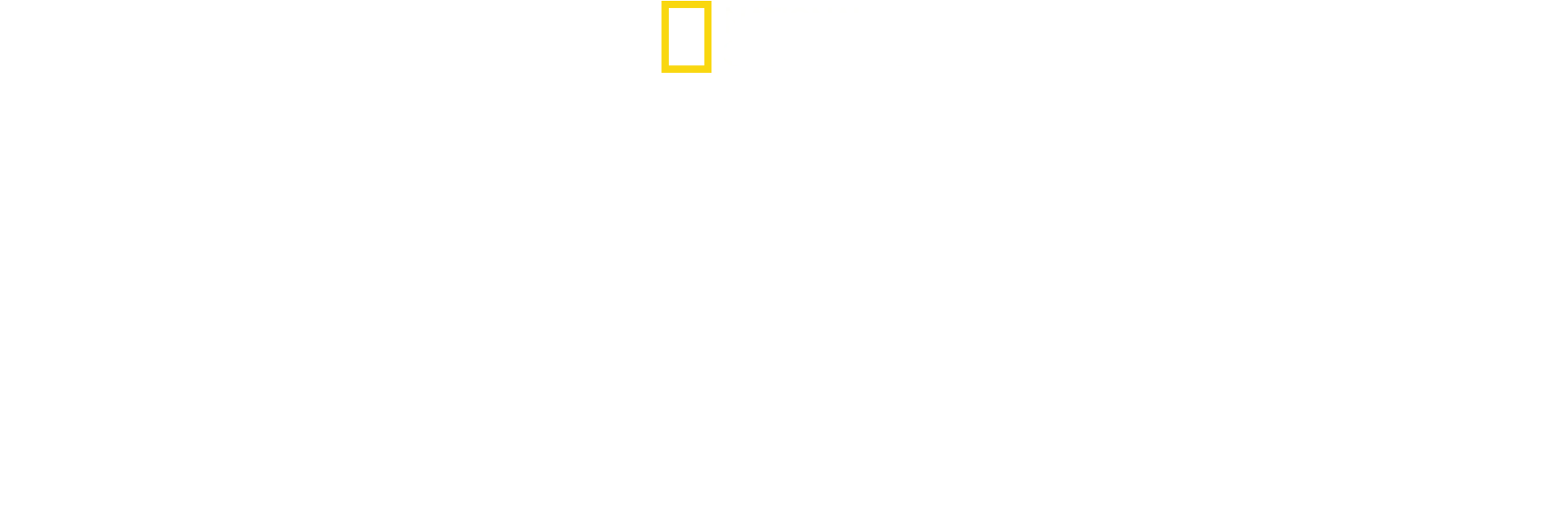 Katastrofin todistajat